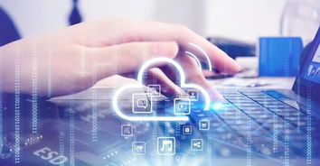 一元转让的智慧 科技成果转化的多赢密码